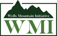 wells mountain initiative scholarship 2026